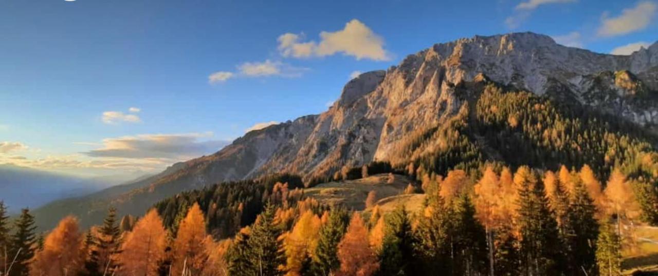 Knaller Der Reiterbauernhof Reisach 外观 照片