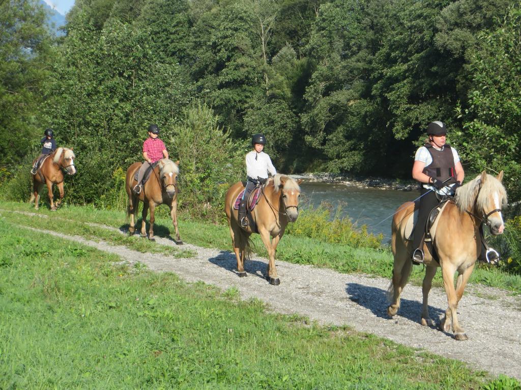 Knaller Der Reiterbauernhof Reisach 外观 照片