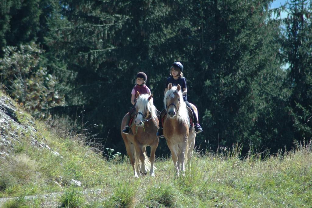 Knaller Der Reiterbauernhof Reisach 外观 照片