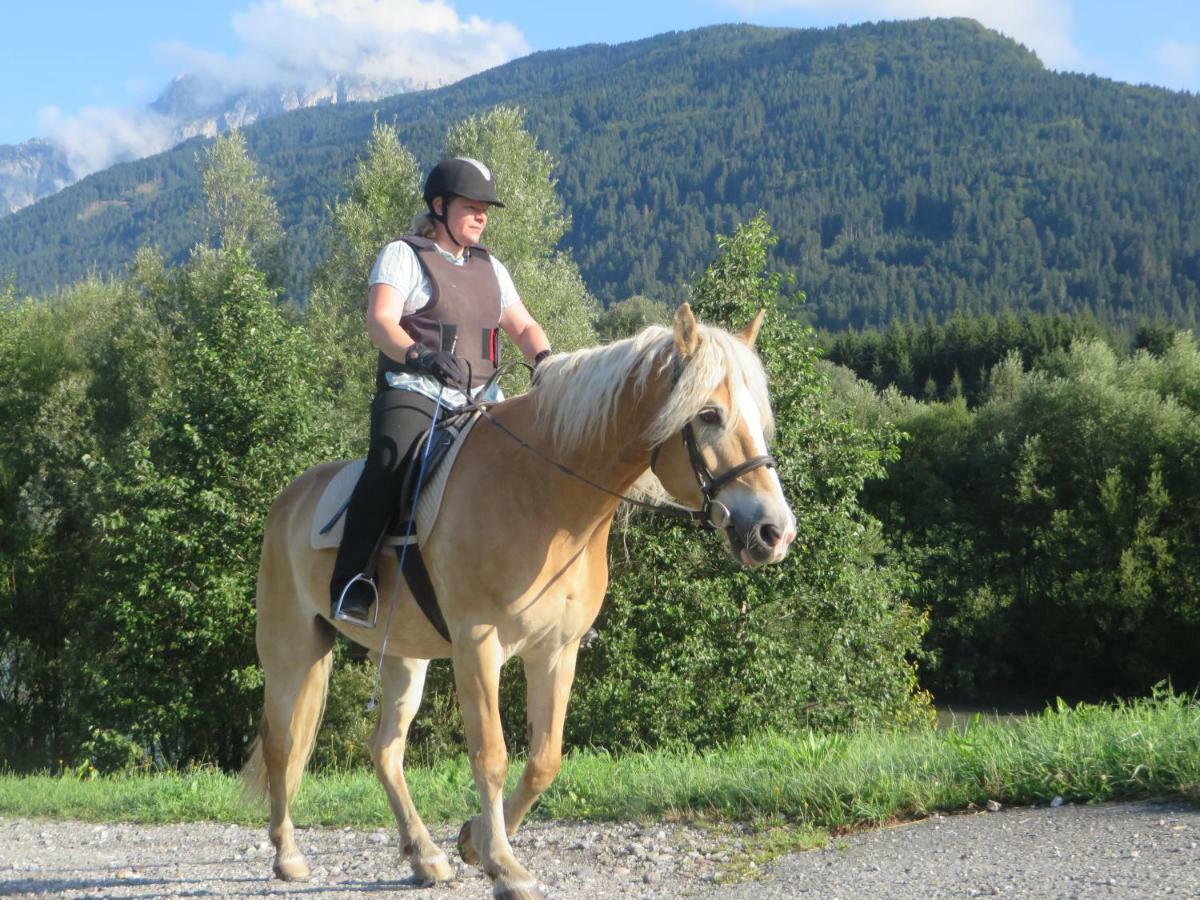 Knaller Der Reiterbauernhof Reisach 外观 照片