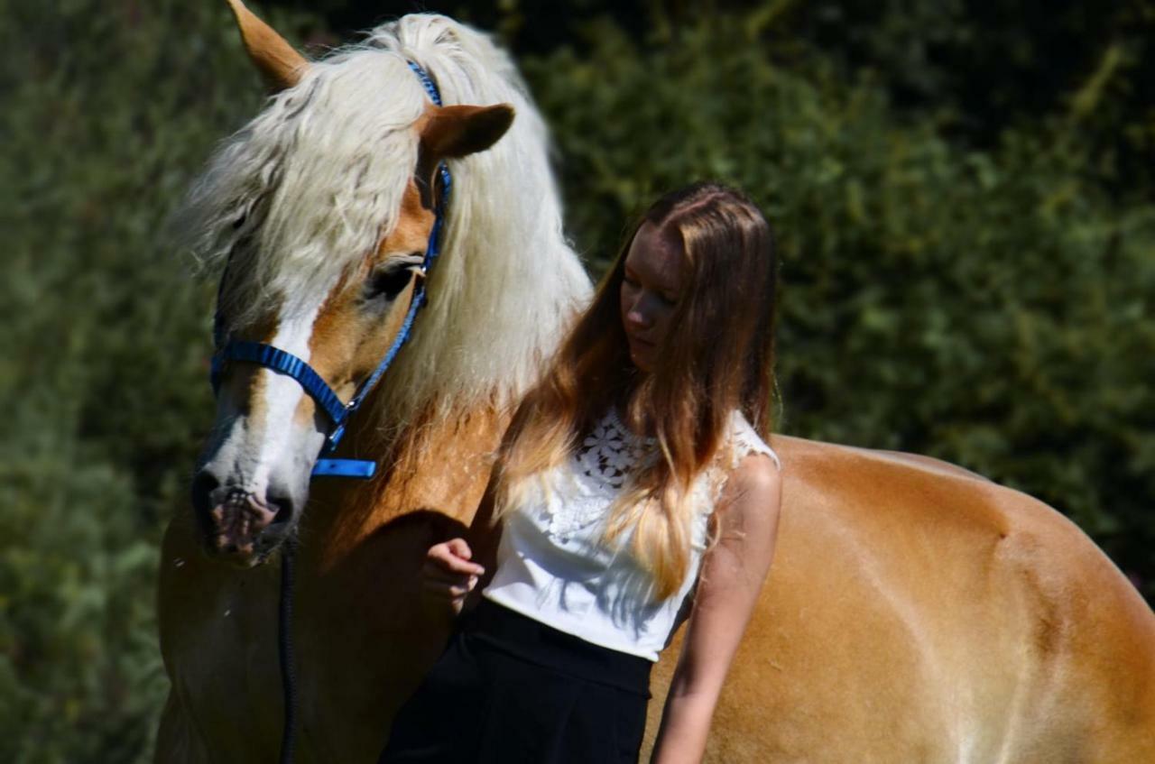 Knaller Der Reiterbauernhof Reisach 外观 照片